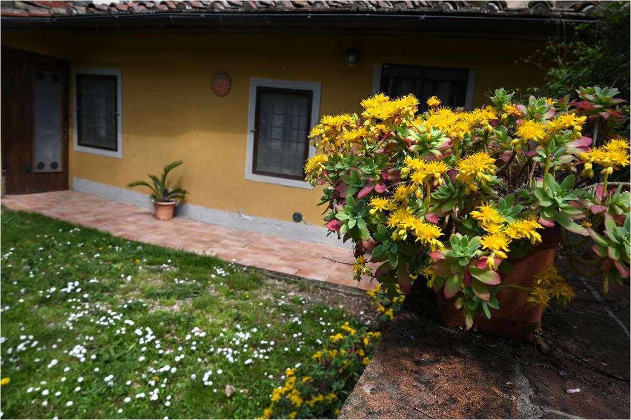 Appartamento I Cipressi Figline Valdarno Zewnętrze zdjęcie